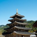 삼가관광농원 이미지