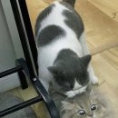 씨유 뉴삼전무지개점 | 돈이 전부는 아니지만 그만한게 없다.