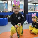 한울타리태권도장 이미지