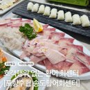 [포항수협 송도활어회센터] 호객행위 없는 자연산 활어회 맛집 포항 송도 회센터 + 전망대카페