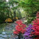 민주지산자연휴양림야영장 이미지