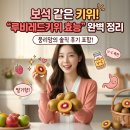 다루푸드 | 루비레드키위 효능, 안토시아닌 폭탄! 직접 먹어본 솔직 맛 후기 (feat. 뭉리맘)