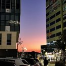 죠스떡볶이 경북도청점
