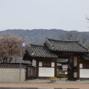 창원 편백나무숲 무장애나눔길 네이버블로그