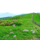 산천초목 이미지