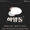 그림책 독서 토론 | 흑석동 까망돌 도서관 그림책 독서토론 동아리 &#39;하양돌&#39;