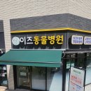 그린동물병원 이미지