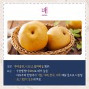브리드커피 - 유성구 동서대로 125 | 브리드커피