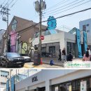 도로시앤컴퍼니 이미지