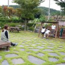 광천농장 2 이미지