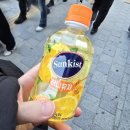 석현로 16번길3-1 | 2025.11.15(토) 광안리불꽃축제 그린존N블럭6열15번,16번 S석7만원 후기!!!!