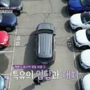 위드카 이미지
