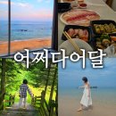 어쩌다어달 | 어달해수욕장 어달해변숙소 어쩌다어달에서 회포장 후기