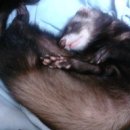 대인병원 이미지