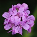 아세아골프연습장 이미지