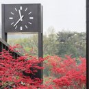 몽베르컨트리클럽 이미지