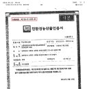 무농약 친환경 해풍맞고 자란 고센비파팝니다 (녹동 재배) 이미지