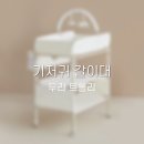 두리하우스 | [육아용품] 두리 트롤리 기저귀갈이대(기갈대...구매 후기 및 언박싱 (+기갈대 비교하기, 후기 이벤트)