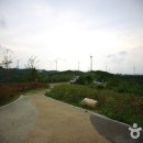 영덕관광안내소 이미지