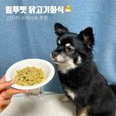 밀투펫 | 그렇게 맛있어?! 기호성 좋은 강아지사료추천 (밀투펫 닭고기화식🐣)