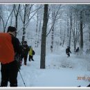 양대목장 이미지