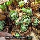 한민농장 이미지