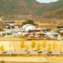 풍양조씨 족보판목 및 보각 | [우리동네 이야기 속으로] 46. 상주시 남장동