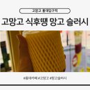 역적로1L-1 | 고망고 홍대입구역점 식후땡 망고 1L 망딸바 솔직후기