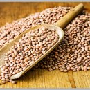 연세채움치과의원 이미지