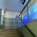 푸바오애견 이미지