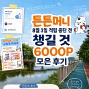 튼튼별약국 | 튼튼머니 8월 3일 적립 중단 전 챙길 것 러닝으로 6000P 모은 후기