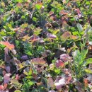 망산경로당 이미지