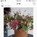 플라웍스 이미지