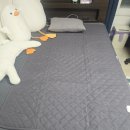 대성세탁 | 카본 탄소매트 대성쎌틱 1인용 전기장판 세탁가능 따뜻한 전기매트