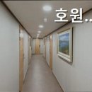호원스타우스