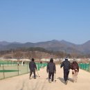 생생스크린파크골프경산