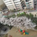 영복여자고등학교 이미지