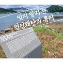 창원 안골왜성 | 창원 안골포 굴강