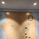 부산야생동물치료센터 | 부산 을숙도 철새 도래지 완벽 가이드 에코센터 주차, 전동카트 예약, 관람 팁 총정리