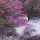 고산가 Daum카페