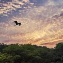 한양대(국제문화관) 이미지