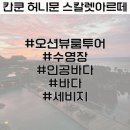 (칸쿤신혼여행 스칼렛아르떼) 오션뷰 룸투어, 세비지, 수영장, 인공해변, 해변 즐기기