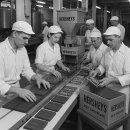 제일전장 이미지