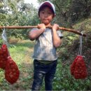 금바위농장 이미지