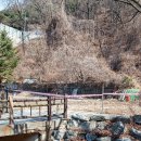 수원교구 중앙성당 | 사순 시기에 찾기 좋은 성지_수리산 성지에서 미사 참례와 십자가의 길을 걷다 / 수원교구