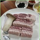 탐라우돈 이미지