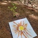 생각이 자라나는 그림책놀이 이미지