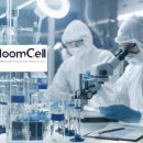 (주)드림셀 이미지