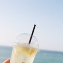 델문도 이미지