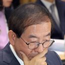 현미 태양광발전소 이미지